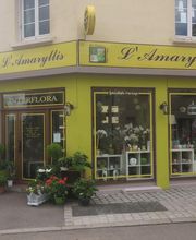 L'Amaryllis image 1