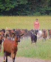 Millet Julia image 7