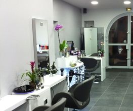 Elévation Coiffure image 2