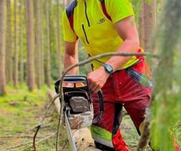 Forst- und Gartenservice Roller Bild 2