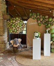 Gallery Cliente