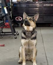 Brown's Service Center image 20