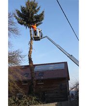 Dienstleistungsbetrieb Pötschke Bild 1