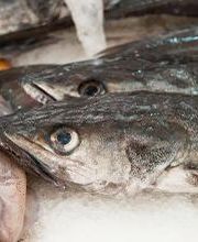 Peixateríes Martí imagen 2