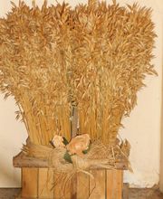 Le Victor Mariette Frédérique image 11