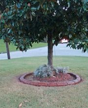 Curb Brothers image 18