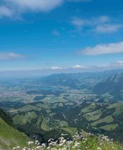 Hôtel de Ville*** Bild 8