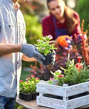 Gartenbau Stefan Lampert Bild 1