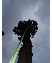 Kleine-Boymann GmbH Bild 3