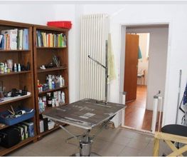 Tiertreff Nürnberg bei Christine Bild 2