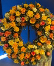 Blumen Petermann Bild 5