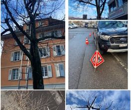 HRG Hauswartung - Reinigung - Gartenunterhalt Bild 13