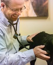 Best Care Pet Hospital image 19