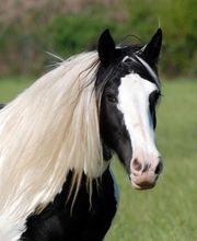 Domaine De La Borderie image 2