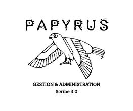 Papyrus image 4