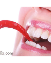 Peinl Hans-Peter Bild 1