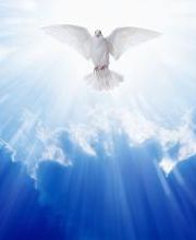 Residencia Mirador del Cúa imagen 6