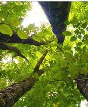 Grasset -tp-transports image 2