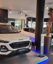 Gallery Cliente