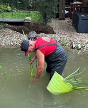 Daniel Teichpflanzung