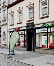 pro optik hörzentrum Riesa Bild 1