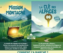 Le Chalet image 6
