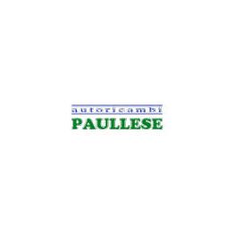 Autoricambi Paullese logo