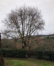 Jean-David Durand Lombard image 6