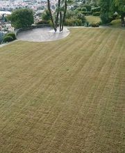 Wistaria Sagl Bild 5