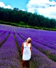 Provence by Flore image 19