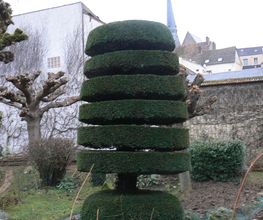 Main Verte Service image 1