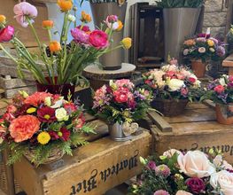 Fleurs d'Elfes Bild 7