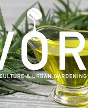 IVORY Stuttgart Bild 13