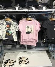 Orchestra BERCK image 14