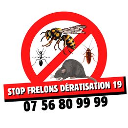 Stop Frelons