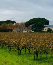 Caveau Les Sablons image 3