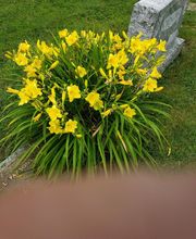 Kwiatkowski Funeral Home image 7