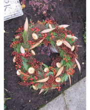 Karin''s Blumenecke Bild 3