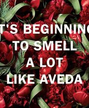 Panache an Aveda Salon, Spa, Store image 12