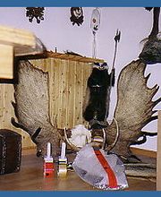 Umzüge  HORST Bild 2