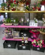 Bricomarché image 2