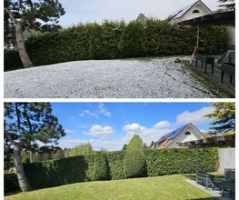 A'rborescence & Paysage Sàrl Bild 6