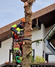 Forst- und Gartenservice Roller Bild 9