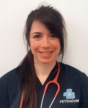 VetoAdom Sarl Bild 7