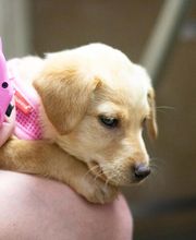 Belton Animal Clinic & Exotic Care Center image 3