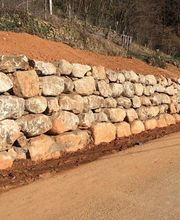 Cardinal Myriam image 7