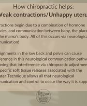 Rooted Chiropractic Club image 9