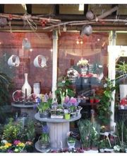 Exotic Fleurs image 1