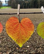 Moret - Brodmann AG Bild 2