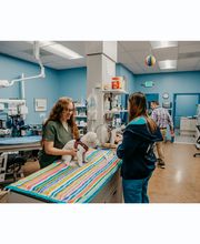 Stevenson Village Veterinary Hospital image 9